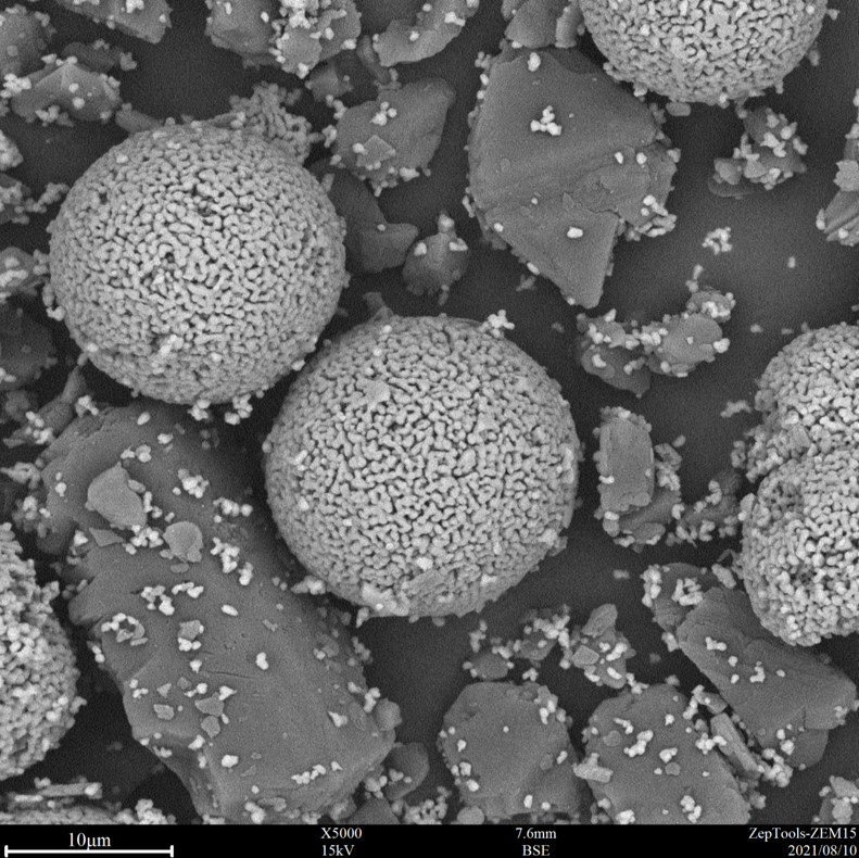 5000倍臺(tái)式掃描電鏡拍攝圖