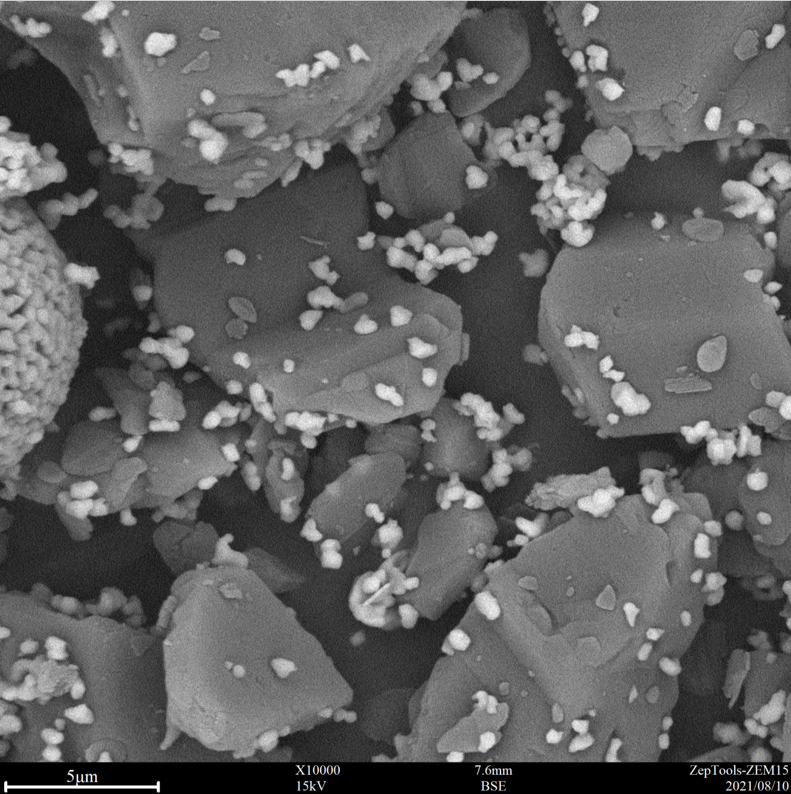 10000倍臺(tái)式掃描電鏡拍攝圖