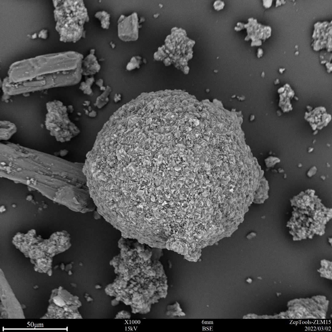 圖2 頭孢（臺式掃描電鏡1000倍照）