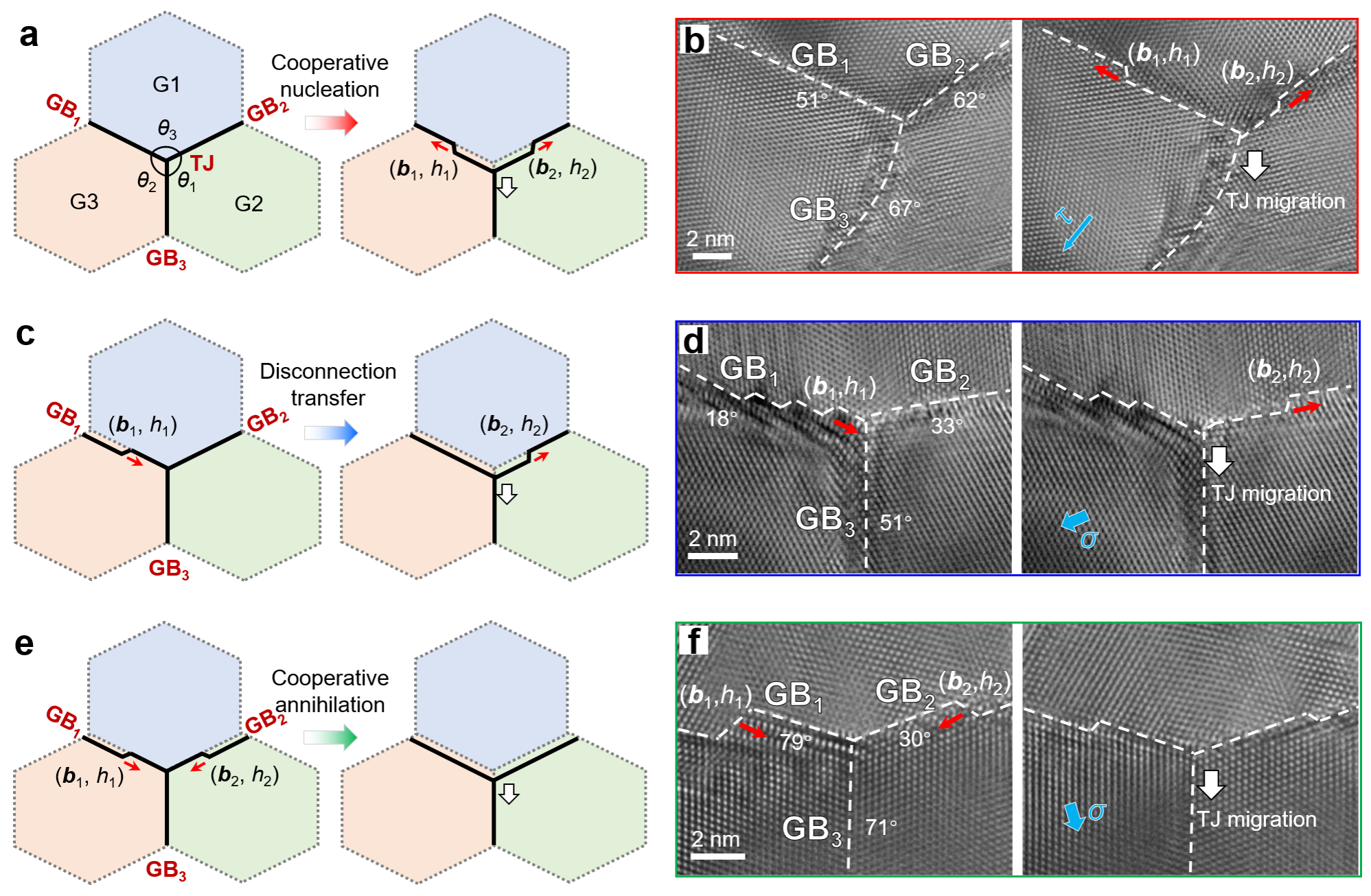 通過鄰近晶界的失配位錯動力學(xué)實現(xiàn)穩(wěn)態(tài)TJ遷移