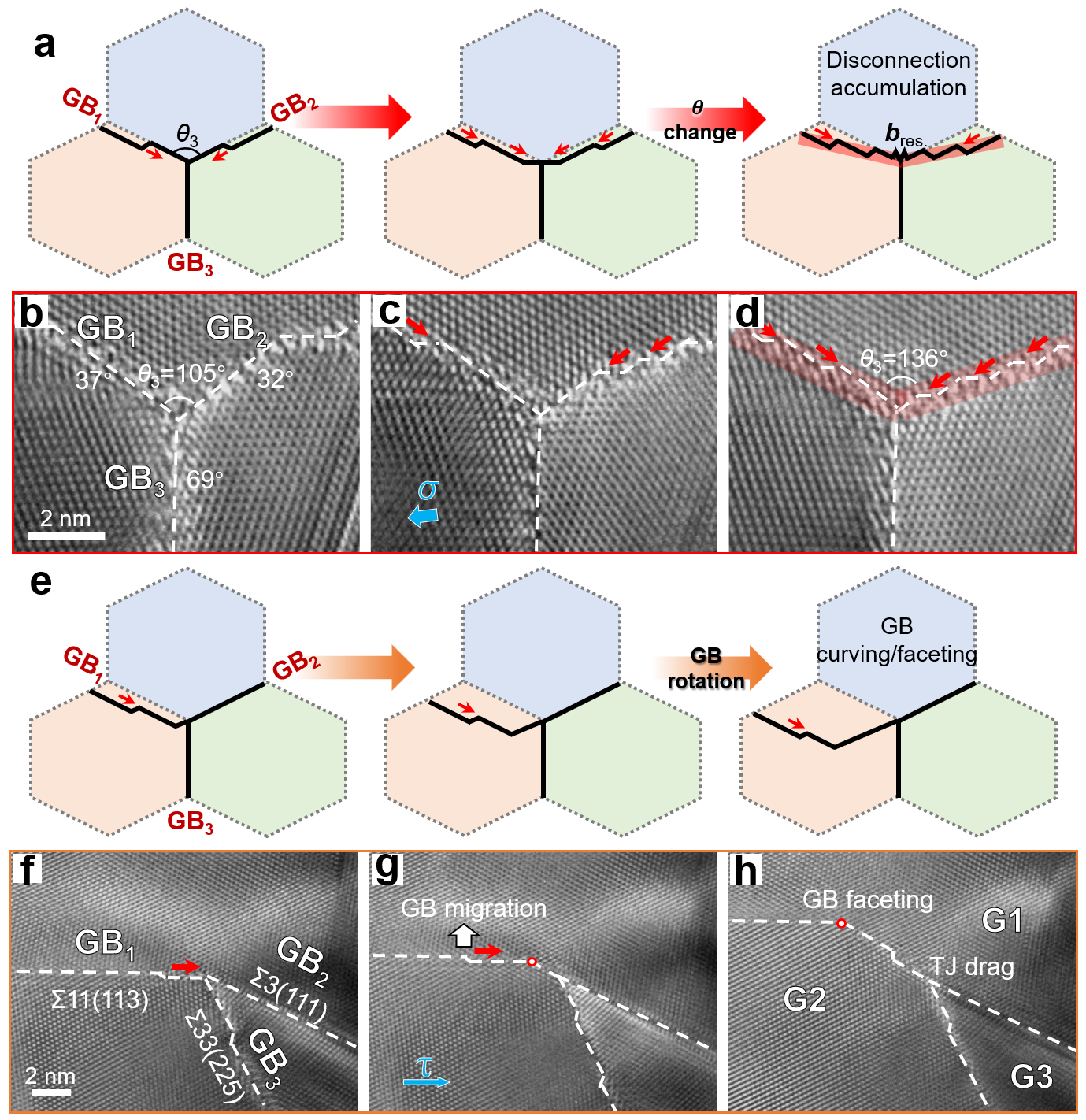 失配位錯介導(dǎo)的TJ形貌轉(zhuǎn)變