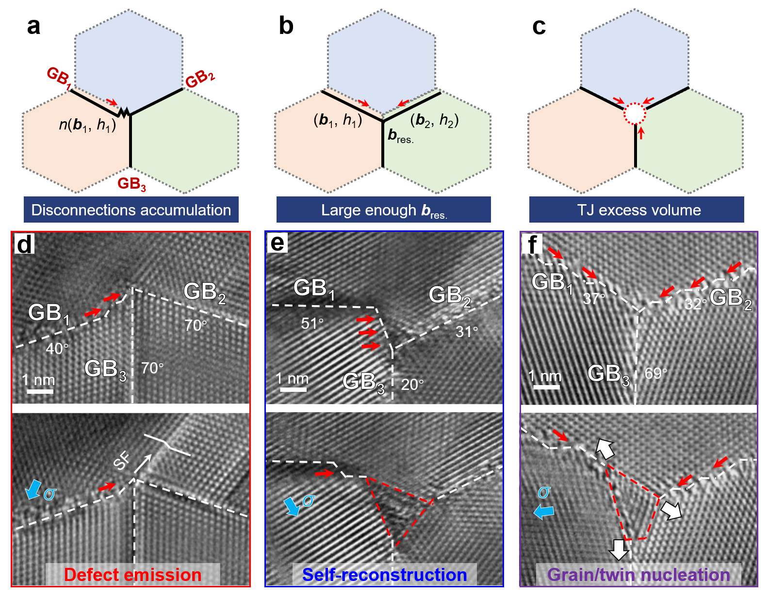 失配位錯介導(dǎo)的TJ動力學(xué)非保守模式