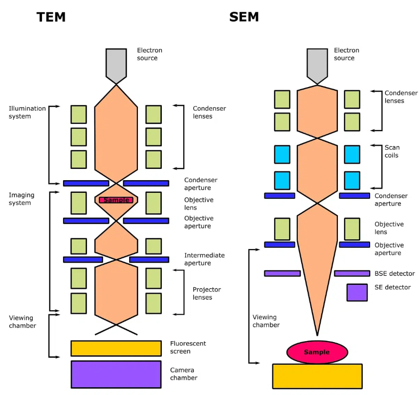 電子顯微鏡技術