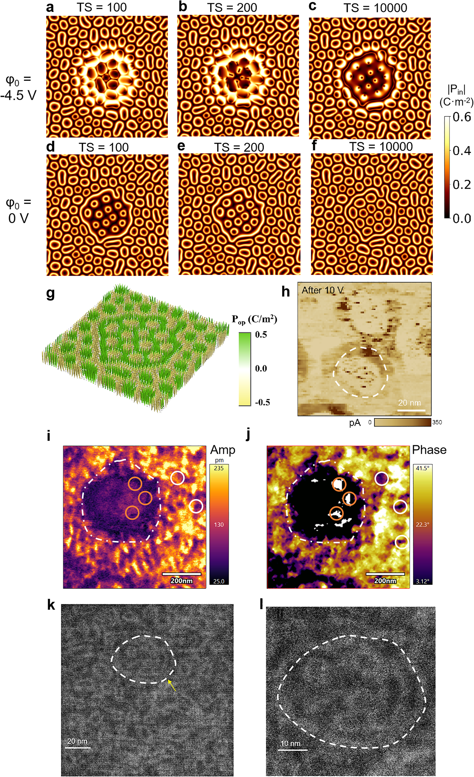 原位電子顯微鏡