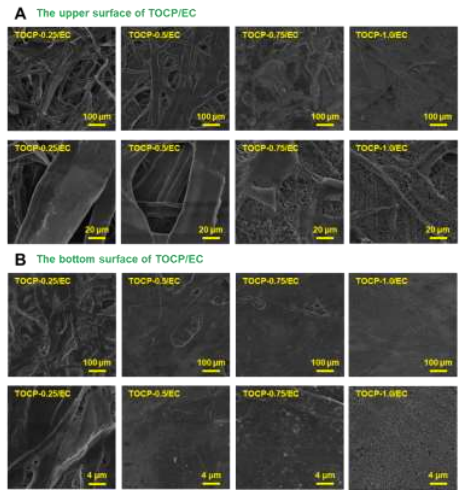 澤攸科技ZEM系列掃描電鏡