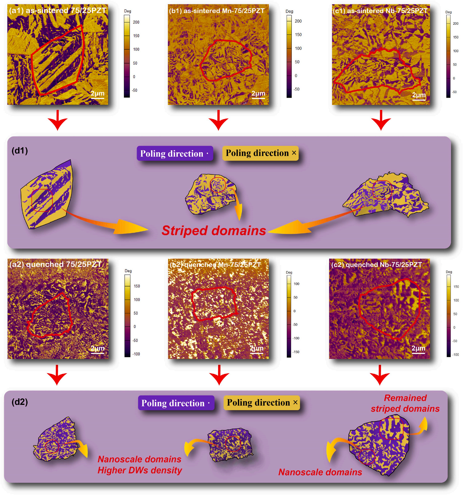 澤攸科技ZEM系列掃描電鏡