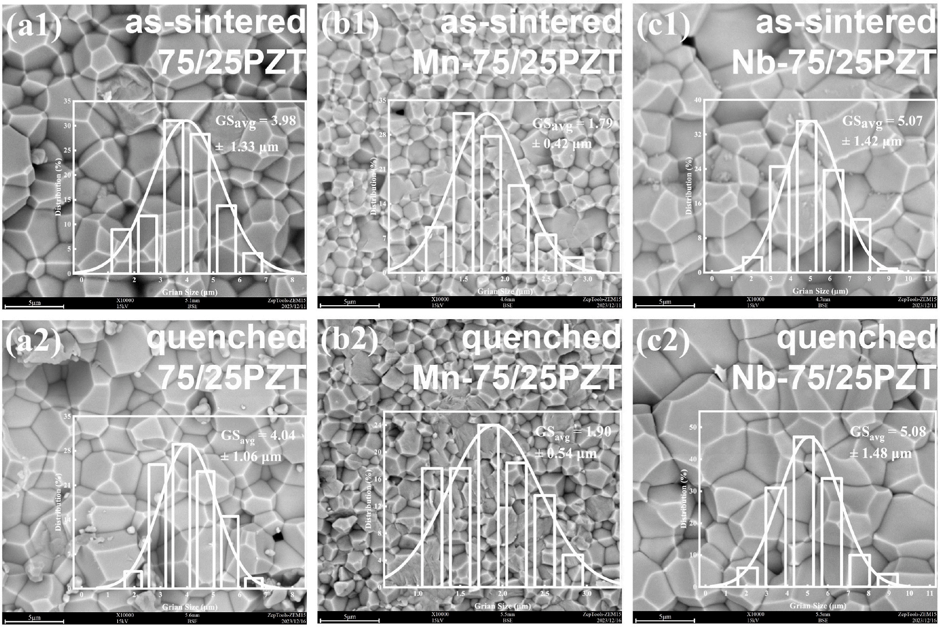 澤攸科技ZEM系列掃描電鏡