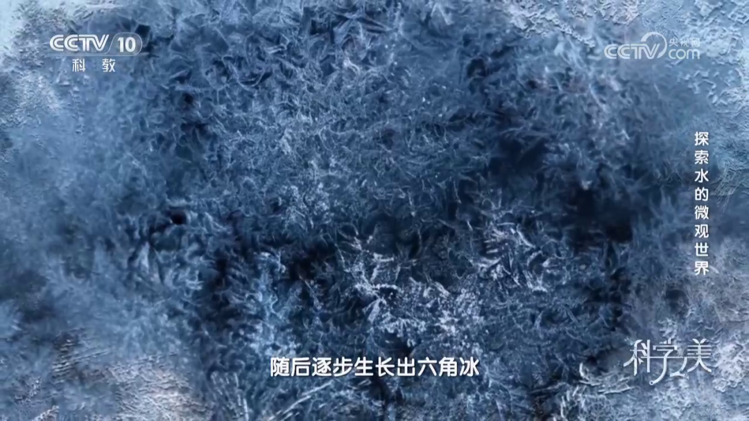 澤攸科技